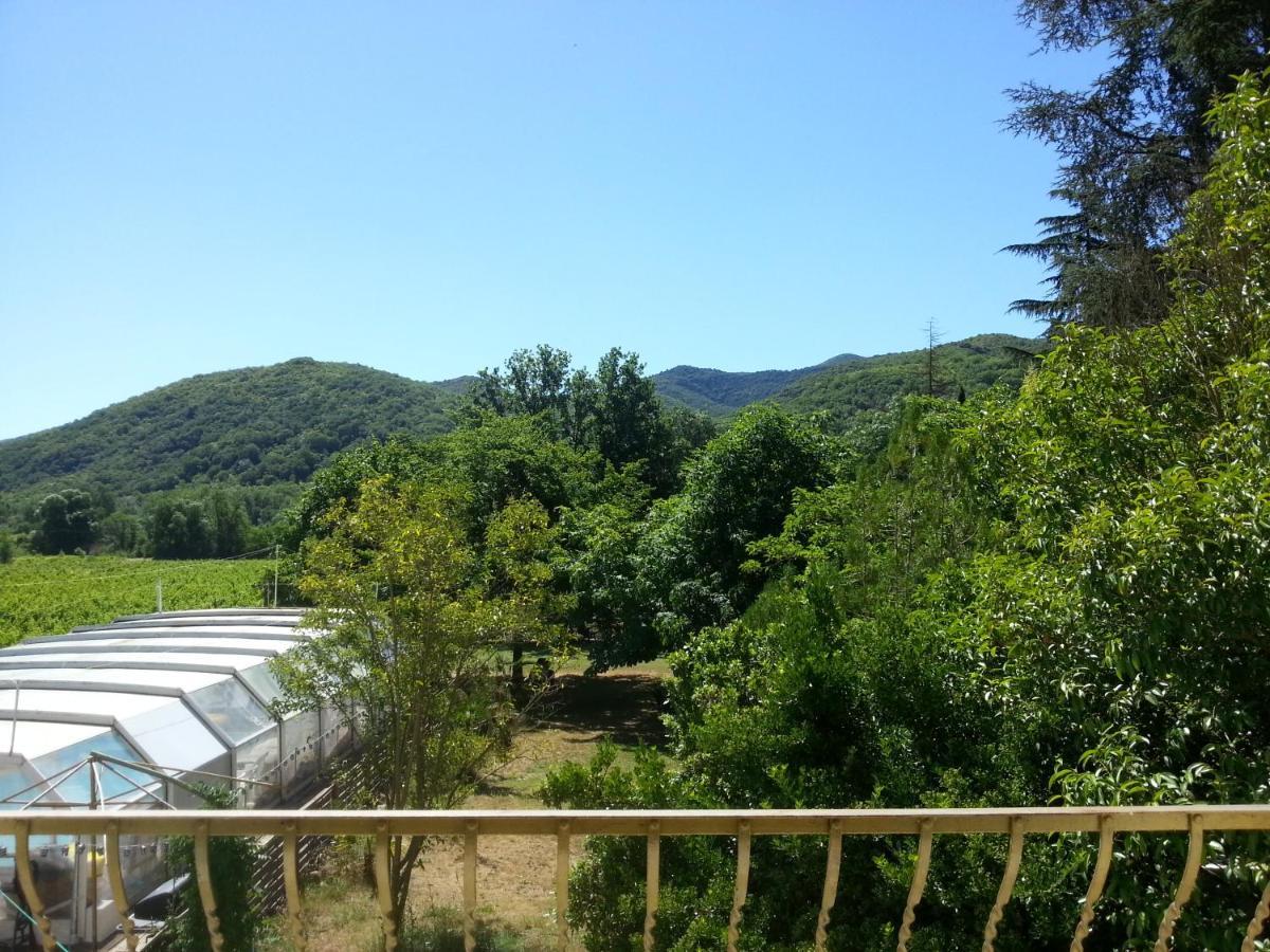 Villa Les Martinets - Voie Verte Passa Pais-Gorges d'Héric-Massif du Caroux-Chambre d'hôte Le Poujol-sur-Orb Exterior foto