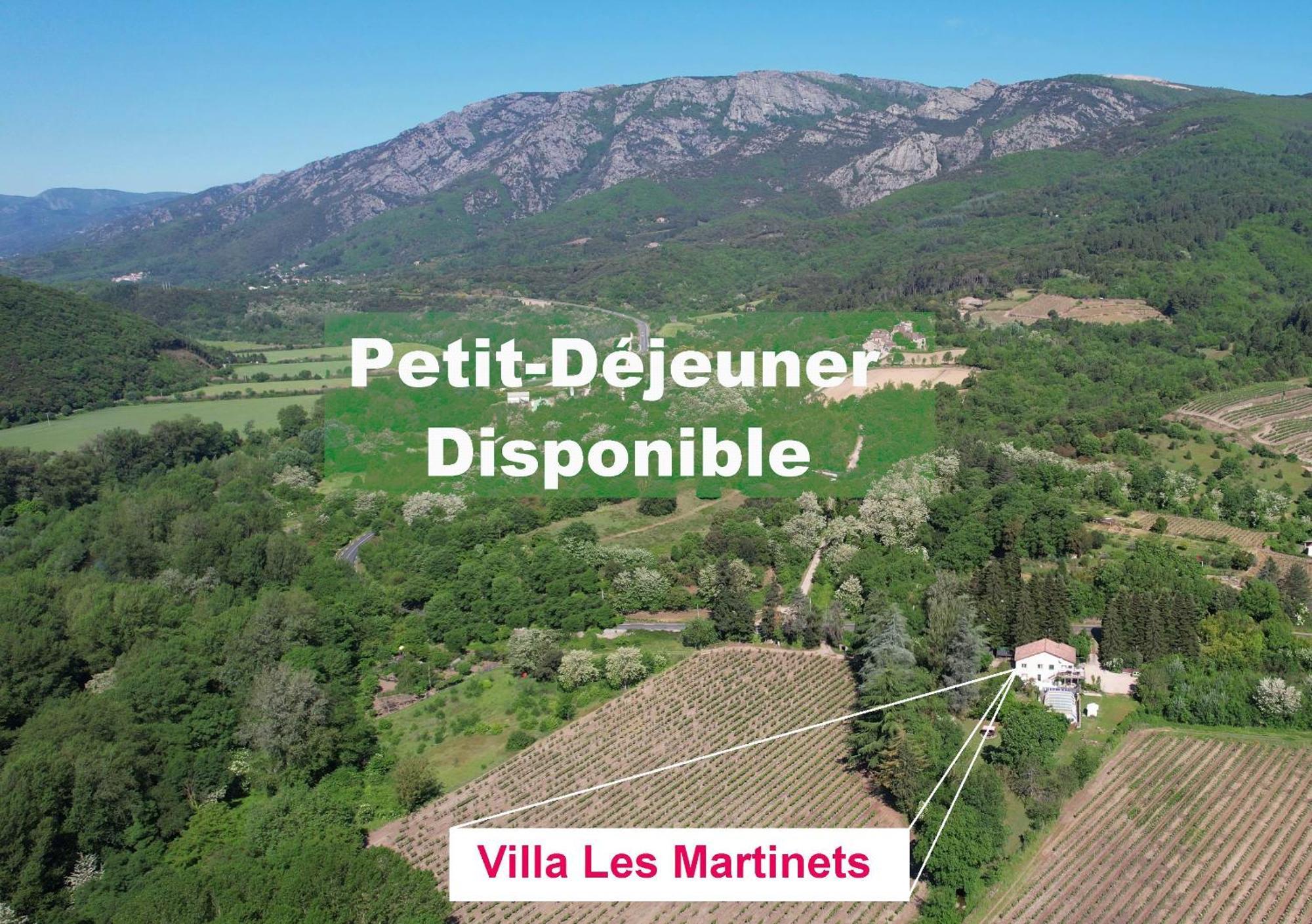 Villa Les Martinets - Voie Verte Passa Pais-Gorges d'Héric-Massif du Caroux-Chambre d'hôte Le Poujol-sur-Orb Exterior foto
